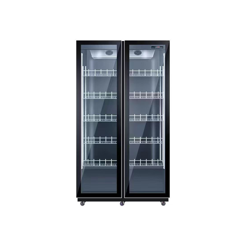 Двухдверный холодильник с возд – обзор и цена Wine Beer Dual Zone